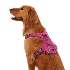 KONG Ultra Durable Waste Bag Dog Harness