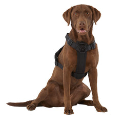 KONG Ultra Durable Waste Bag Dog Harness