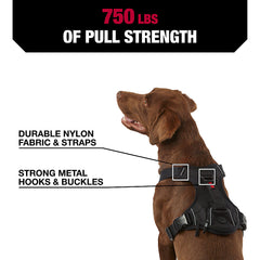 KONG Ultra Durable Waste Bag Dog Harness