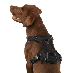 KONG Ultra Durable Waste Bag Dog Harness