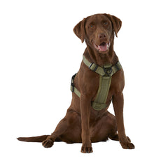 KONG Ultra Durable Waste Bag Dog Harness