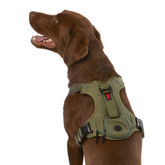 KONG Ultra Durable Waste Bag Dog Harness