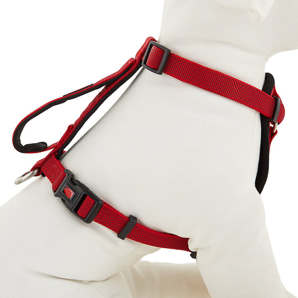 Kong comfort padded sales harness