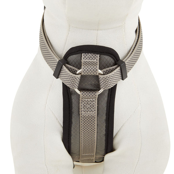 Kong padded harness medium best sale