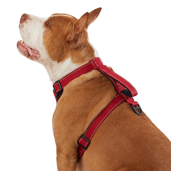 Kong hot sale padded harness