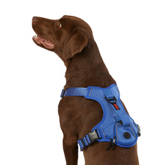 KONG Ultra Durable Waste Bag Dog Harness