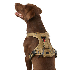 KONG Ultra Durable Waste Bag Dog Harness