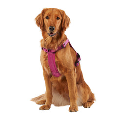 KONG Ultra Durable Waste Bag Dog Harness