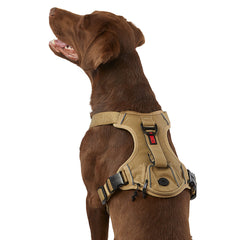 KONG Ultra Durable Waste Bag Dog Harness