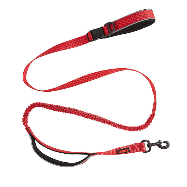 Kong reflective hot sale leash