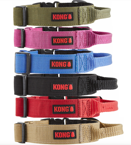 KONG Heavy Duty Handle Dog Collar Knockout Pet Supplies