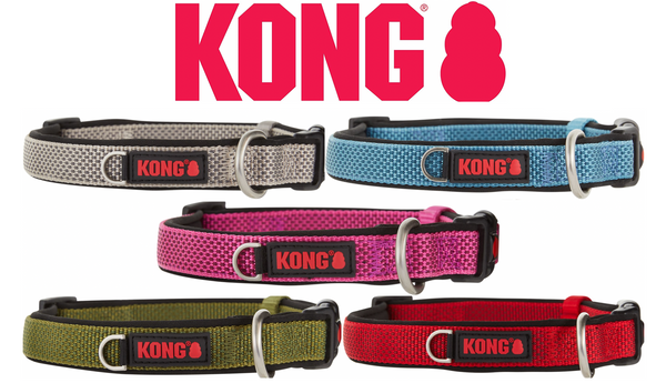 Kong padded dog sales collar