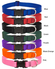 Lupine Basics Dog Collar & Leash