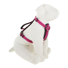 KONG Comfort Control Grip Padded Chest Plate Harness