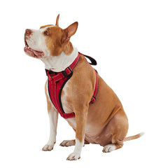 KONG® MAX Neoprene Padded Ultra Durable Dog Harness
