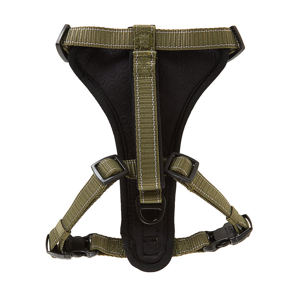 KONG Max Ultra Durable Dog Harness - Neoprene Padded Chest Plate With Front & Back Leash Rings (Green, Small)