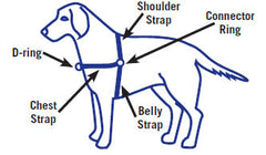 PetSafe Premier Easy Walk Harness