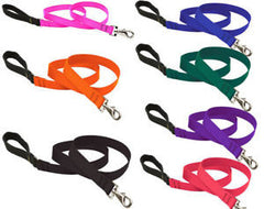 Lupine Basics Dog Collar & Leash