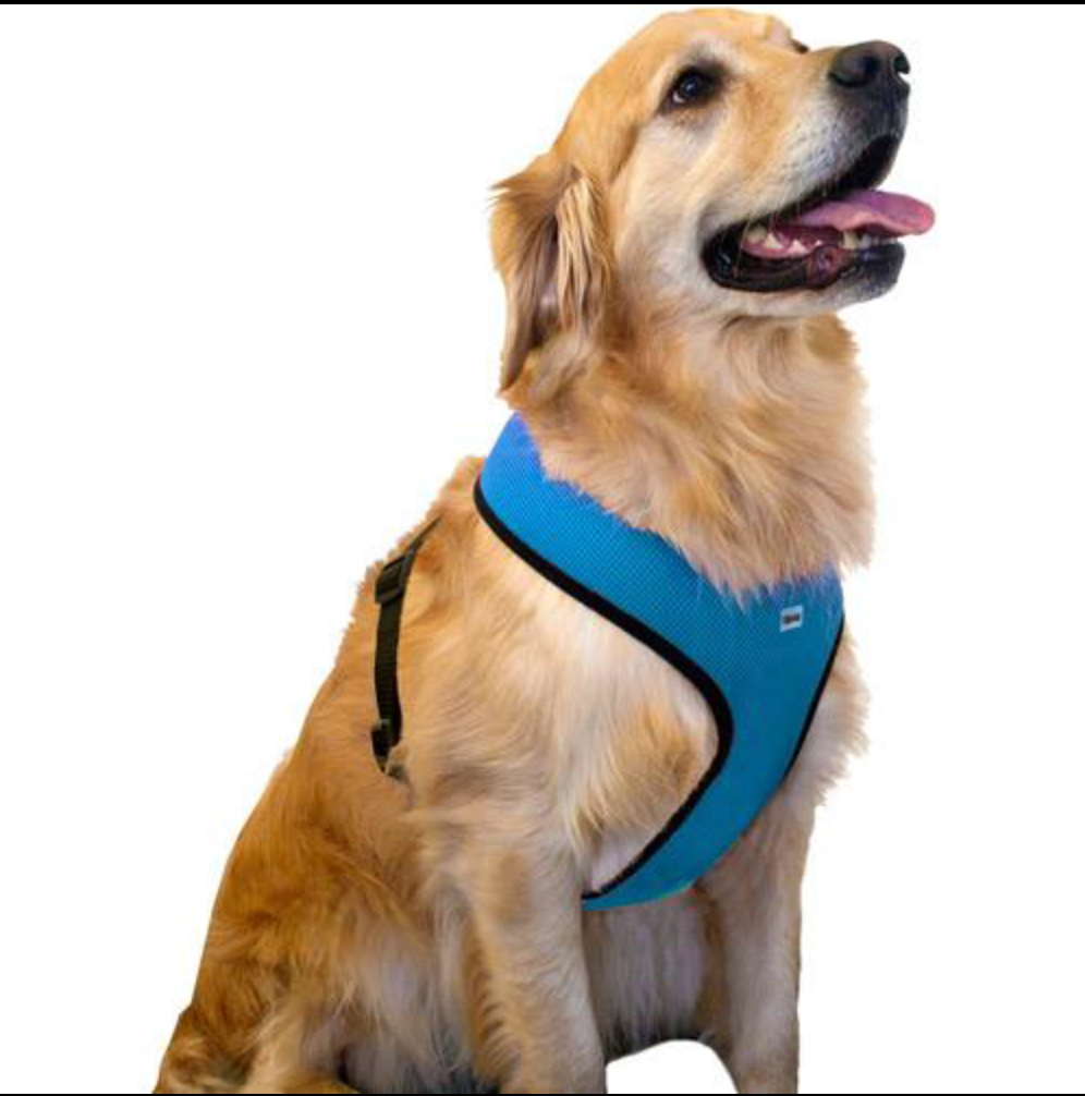 SimplyDog XXL Mesh Harness Large Breed Knockout Pet Supplies