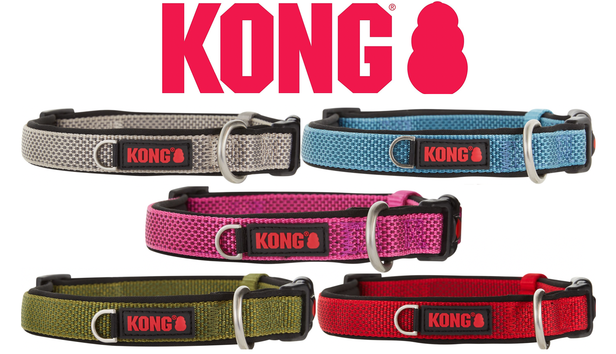 Kong dog collar hot sale xl