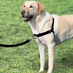 PetSafe Premier Easy Walk Harness Neoprene Padded