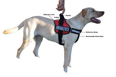 Neoprene Padded Service Dog Vest